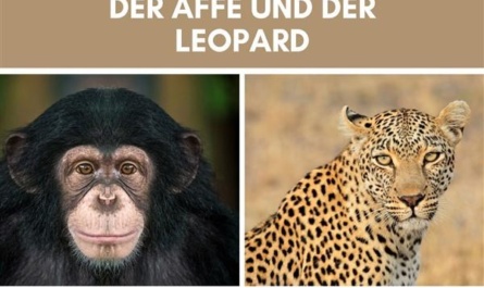 Afrikanische Märchen: Der Affe und der Leopard