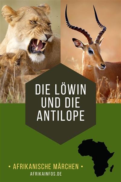 Die Löwin und die Antilope